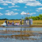 10 Best Everglades Airboat Tours in USA